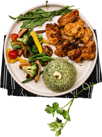 Wellthy healthy food experience